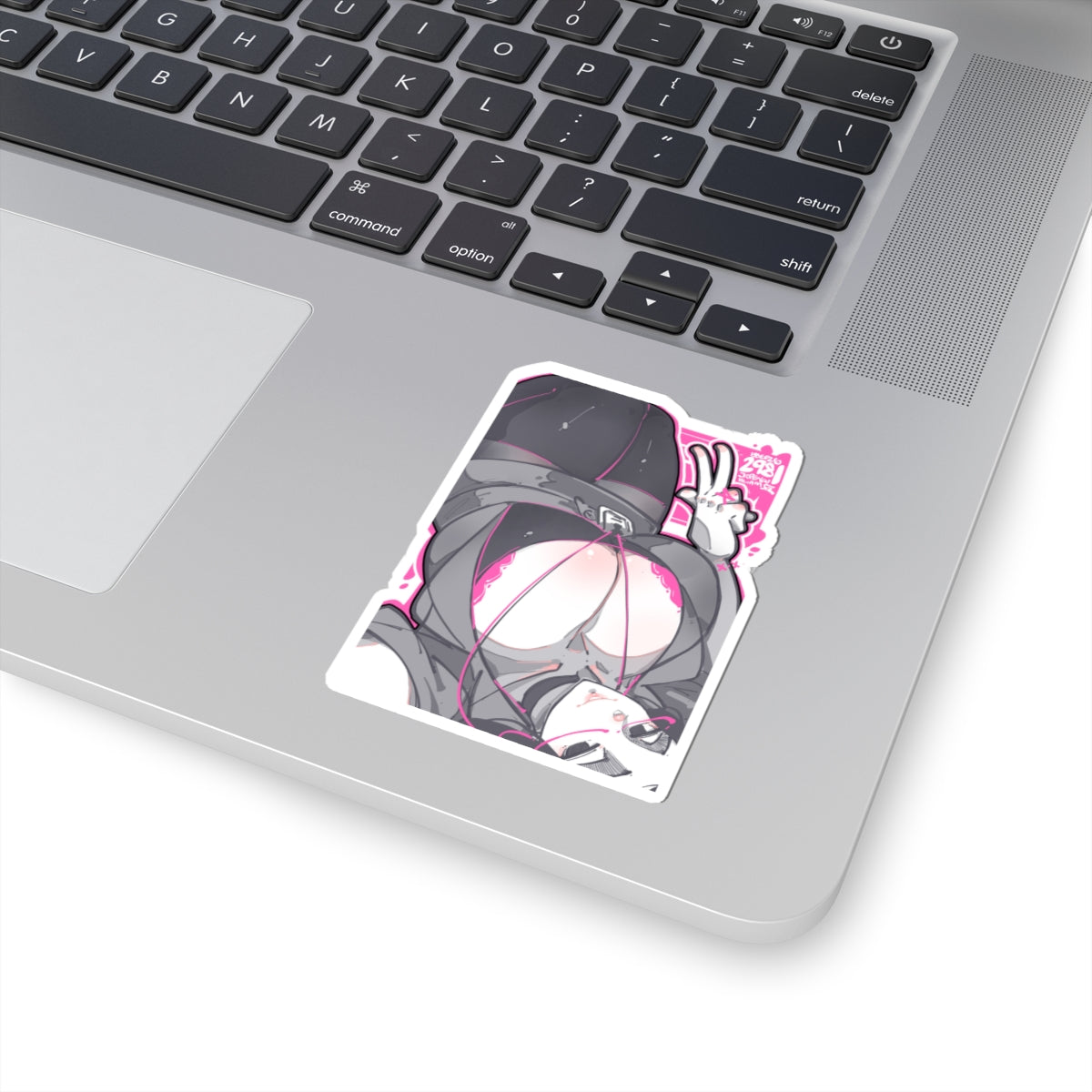 2981 - 粉 / pink Stickers